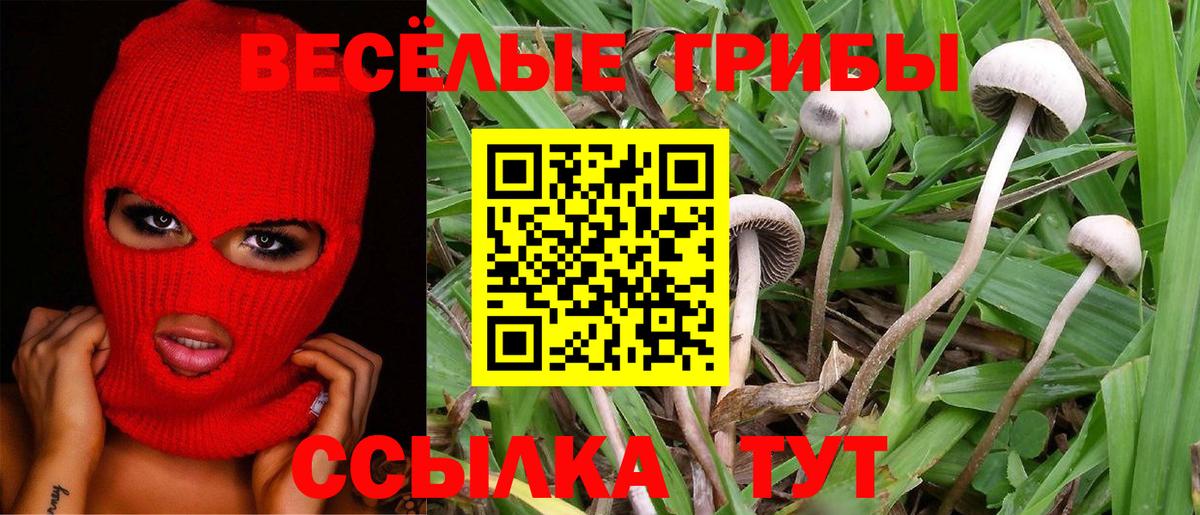 Псилоцибиновые грибы MAGIC MUSHROOMS Орёл